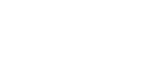 Ibis Styles - Logo